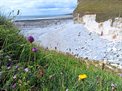 Heritage coast (c) Rose Revera