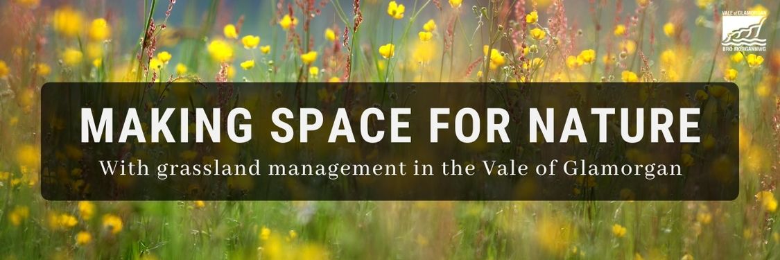 Making space for nature banner