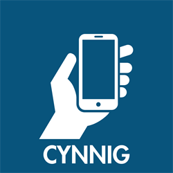 Homes4U Bid Icon Welsh