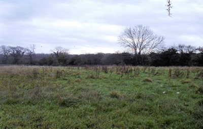 Opp Manor House, Sully pIcture