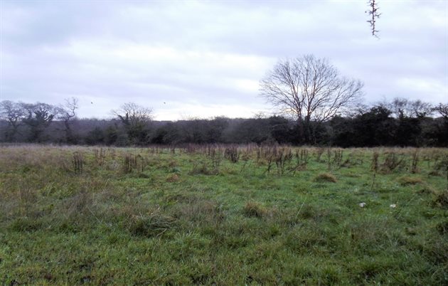 Opp Manor House, Sully pIcture